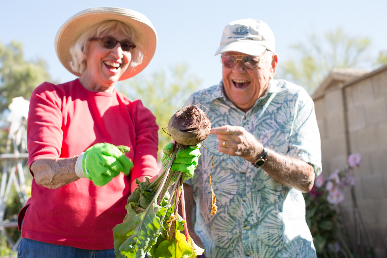 myths about senior living