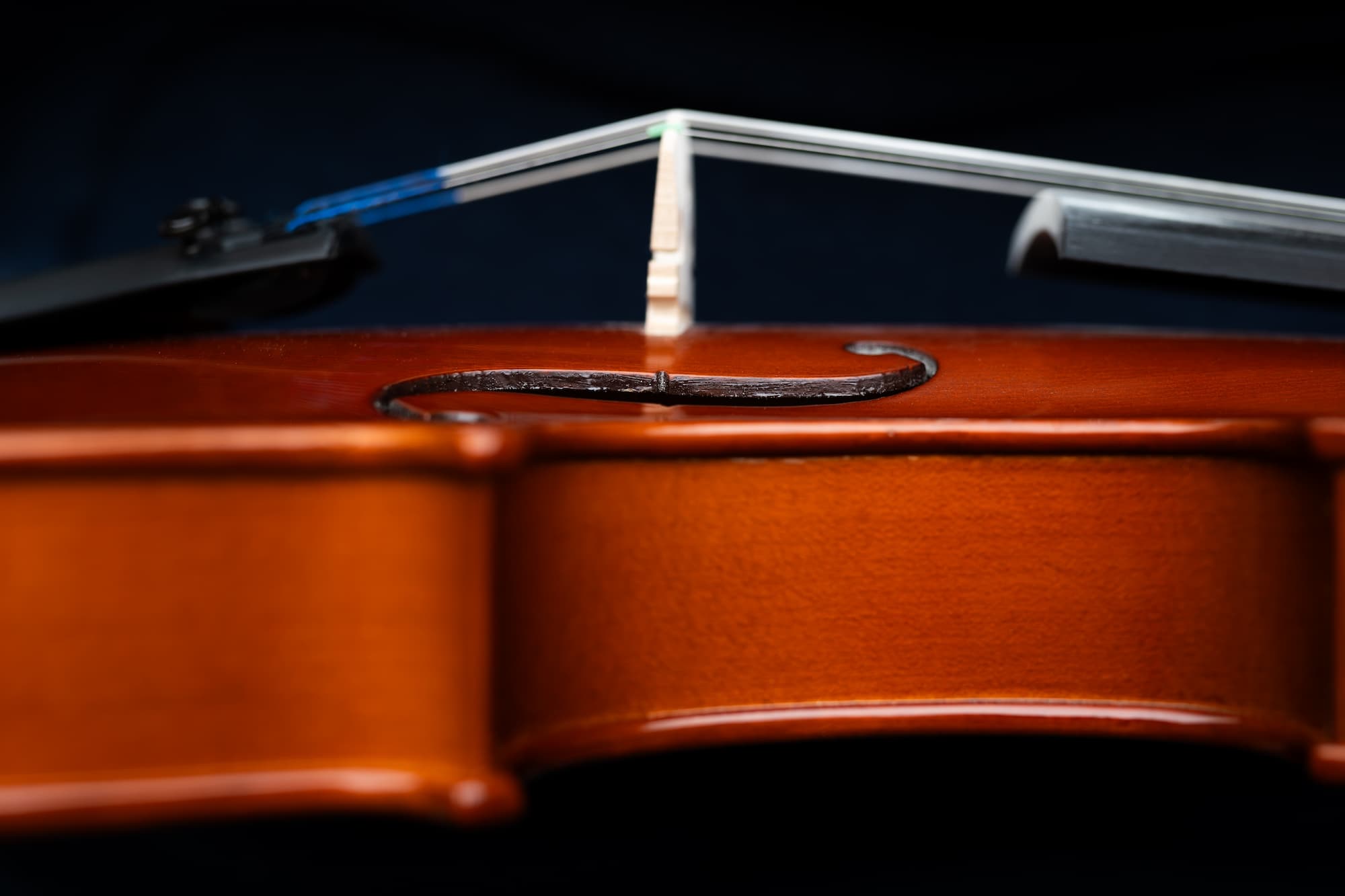 Sandy’s Second Act: From Violin Teacher to Labor and Delivery Nurse